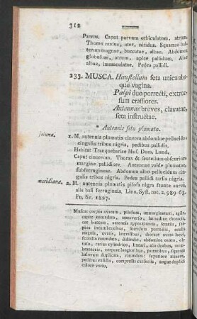 233. Musca.