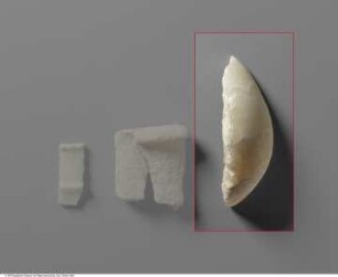 Fragment eines sackförmigen, geschlossenen Gefäßes