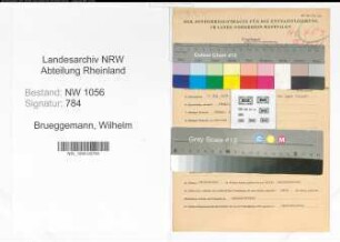 Entnazifizierung Wilhelm Brueggemann , geb. 08.05.1884 (Lehrer)