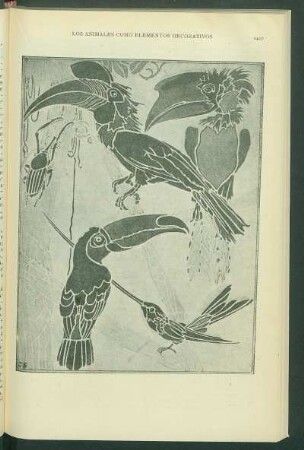 [Pájaros]