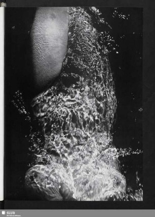 Lichter und Reflexe (Körper bedeckt von klarem Wasser)