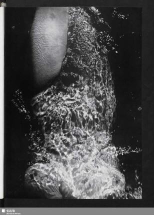 Lichter und Reflexe (Körper bedeckt von klarem Wasser)