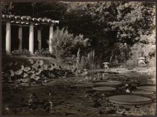 Fotoalbum: Deutsche Gartenbau- und Schlesische Gewerbe-Ausstellung (GUGALI), Liegnitz: Heizbarer Teich