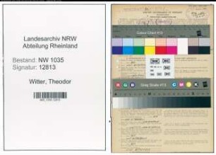 Entnazifizierung Theodor Witter , geb. 05.08.1889 (Ingenieur)