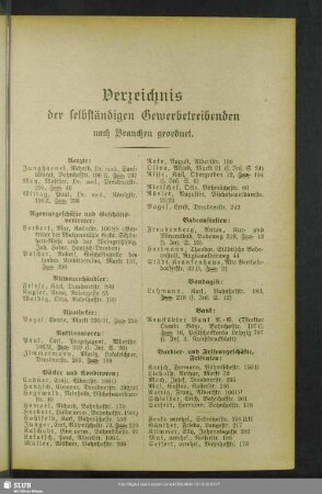 Berufsklassen und Gewerbebetriebe : Verzeichnis der selbständigen Gewerbetreibenden nach Branchen geordnet