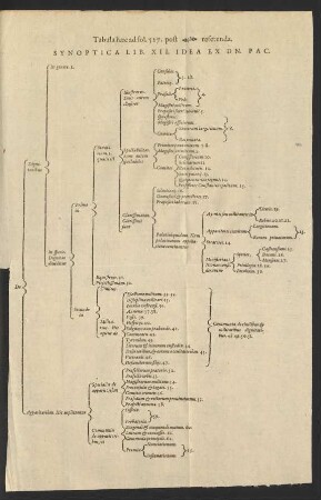 Synoptica Lib. XII. Idea Ex Dn. Pac.