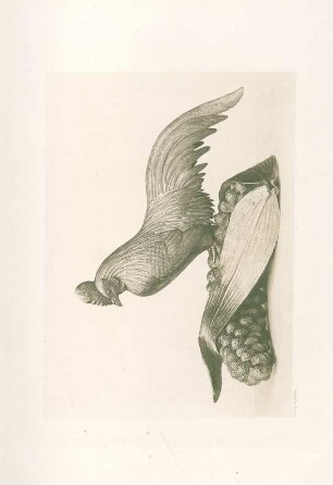 No. 815