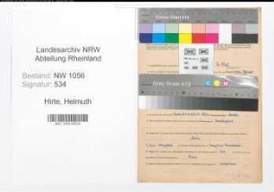 Entnazifizierung Helmuth Hirte , geb. 03.11.1890 (Lehrer)
