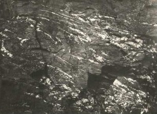 Elstergebirge, Südfuß des Hohen Steins (Vysoke Kamen) CSSR südöstlich Erlbach. Gestauchte Quarzadern in dunkler quarzitischer Grauwacke.