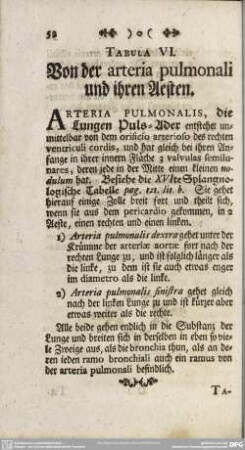 Tabula VI. Von der arteria pulmonali und ihren Aesten
