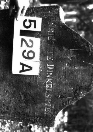 Grabstein A I/5/29A