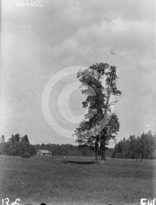 Landschaft Lettin