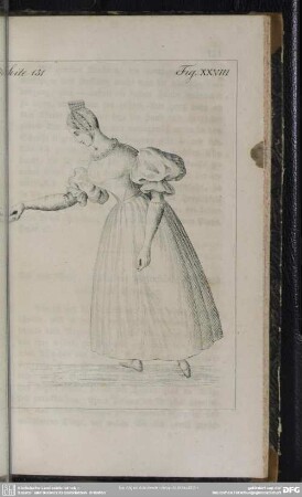 Seite 131. Fig. XXVIII