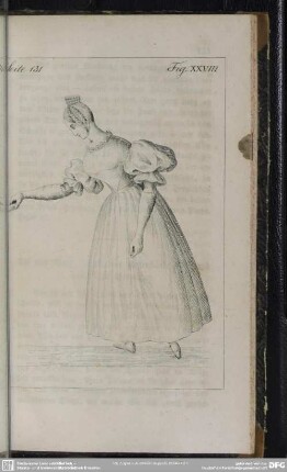 Seite 131. Fig. XXVIII