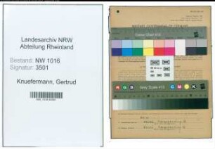 Entnazifizierung Gertrud Knuefermann , geb. 10.02.1916 ()