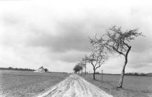 Markersdorf-Gersdorf. Reste der gesprengten Holländermühle