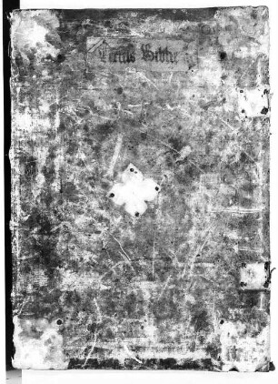 Biblia utriusque Testamenti insolito librorum ordine - BSB Clm 2747