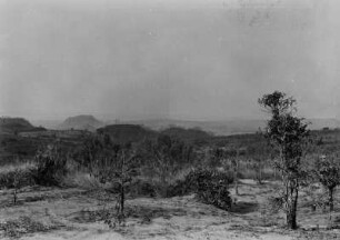 Blick auf Landstufen : Landschaft mit Bäumen, Sträuchern und Gras im Vordergrund, im Hintergrund Landstufen.