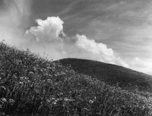 Wolkenbilder. Wolken über hügeliger Landschaft