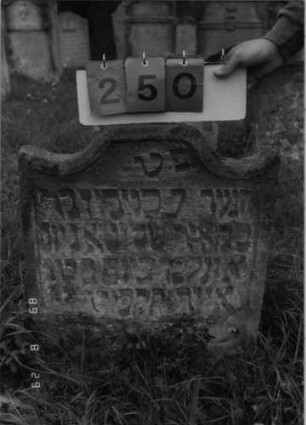 Grabstein 250 (Index: 100107608) Material: heller Sandstein Zustand: stark verwittert und eingesunken Maße HxBxT: 62x54x10 cm Beschreibung: Stele in Sonderform, Schriftfeld eingetieft Besonderheit: Kindergrab: Grabstein 250
