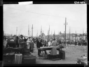 Bergen, Gemüsemarkt