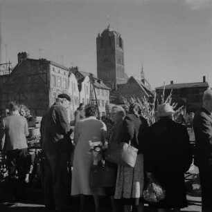 Stralsund. Apollonienmarkt, im Hintergrund Turm der St.-Jakobi-Kirche