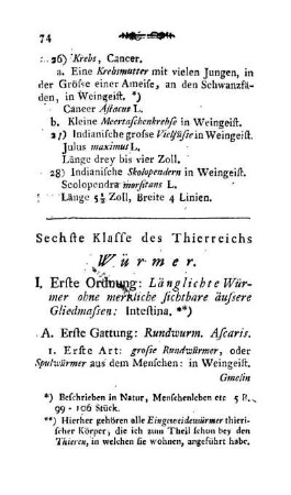 Sechste Klasse des Thierreichs. Würmer.