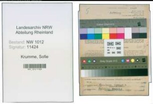 Entnazifizierung Sofie Krumme , geb. 08.02.1907 (Lehrerin)