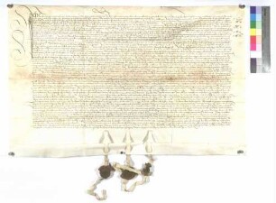 Verkauf der Güter zu Staig und Hüttisheim durch Kaspar Haid an Kloster Wiblingen