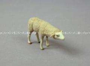 Figuren einer Weihnachtskrippe - Schaf