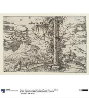 Landschaft mit zwei Fichten