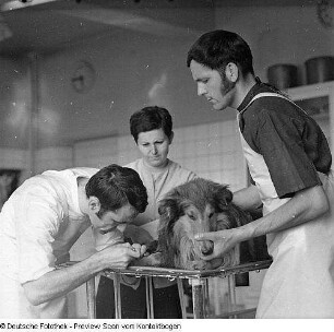 Tierklinik