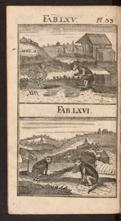 Pl. 33. Fab. LXV. Fab. LXVI.