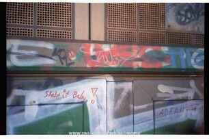 Kit | Shake it Baby! | ABFAHRT | KOE