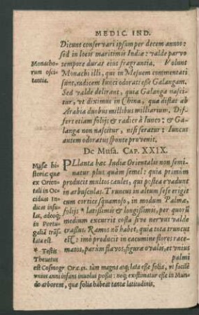 De Musa. Cap. XXIX.