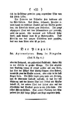 ¬Der¬ Pinguin : Lat. Aptenodytes ; Franz. le Pinguin ; (Taf. X., Fig. 61)