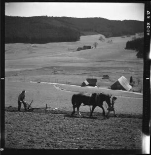 Traditionelle Landwirtschaft
