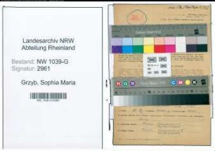 Entnazifizierung Sophia Maria Grzyb , geb. 30.03.1918 (Geschaeftsleiterin)