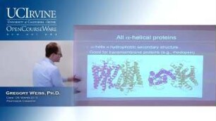 Lecture 12. Protein Functions.