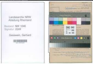 Entnazifizierung Gerhard Gesswein , geb. 05.01.1909 (Hilfskraft)