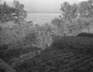 Tama-Hügelland in der japanischen Kantō-Ebene : Landschaftsausschnitt
