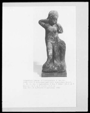 Aphrodite