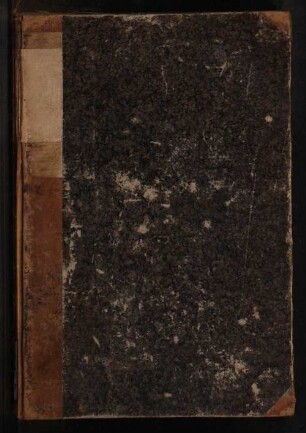 4. Bd.: Bis zum Rubicon : Roman aus Julius Cäsar's Jugendleben