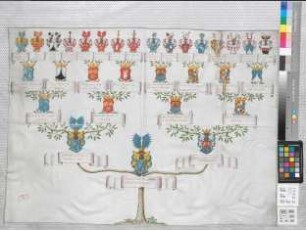 Proband: Hanxleden, Susanna Maria Mariana Helena Elisabeth von; Vater: Hanxleden, Friedrich Johann Lothar von; Mutter: Brockdorff, Susanna Sophia Amalia Gräfin von: Borghorst, Stift
