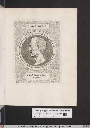 Porträt des Gaius Marius.