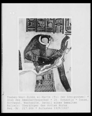 Gott Horus