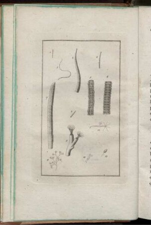 [Fig 1 bis Fig. 13]