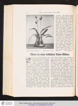 Ideen zu einer festlichen Schau-Bühne