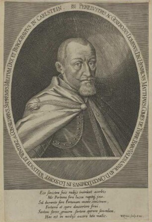 Bildnis des Henricus Matthaeus de Turre et Valesasina