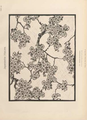 Tafel 90. 101. Gefüllte Kirschblüten